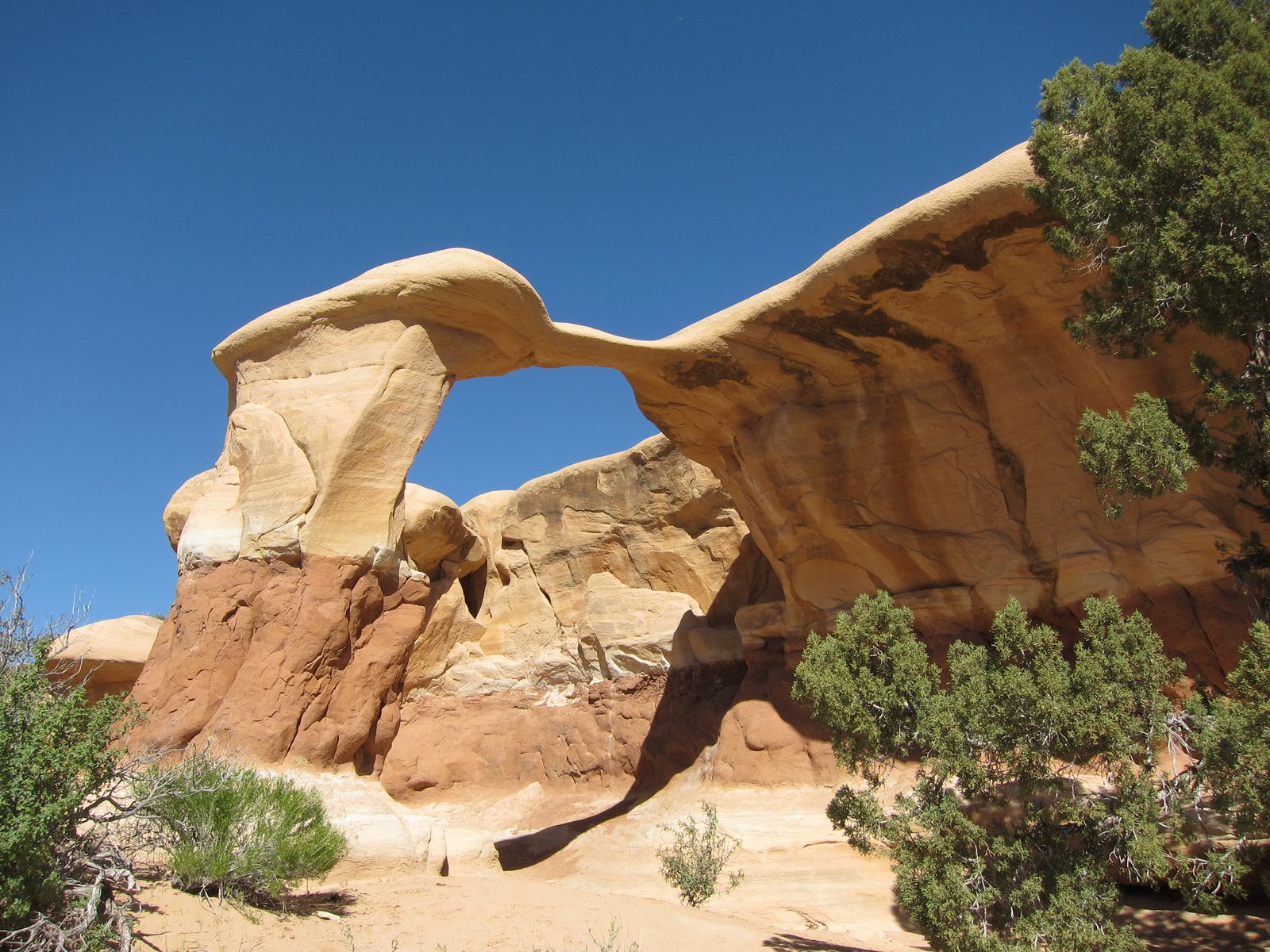 More of the structures that were once attached.